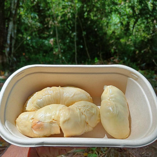 Durian Susu