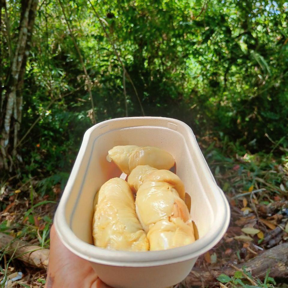 Durian Matahari