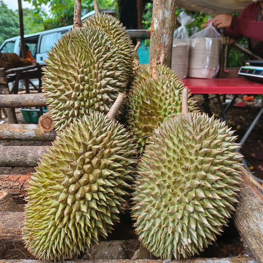 Durian Party Pack (10kg Durian Bukit)