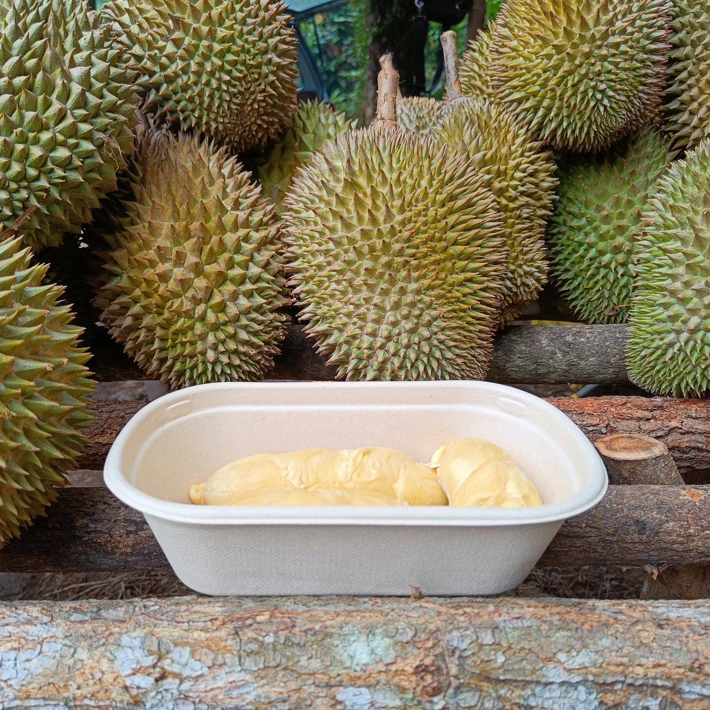 Durian Petai